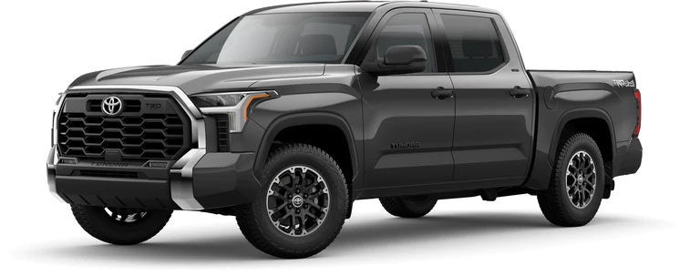 2022 Toyota Tundra SR5 in Magnetic Gray Metallic | Continental Toyota in Hodgkins IL