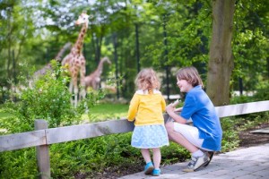 Happy laughing boy and his toddler sister cute little girl with curly hair wearing a dress having fun together in a zoo watching giraffes and other animals on a day trip during summer vacation