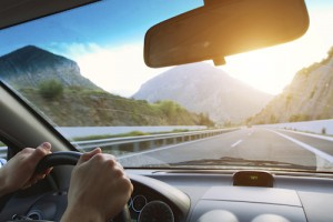 hands of driver on the steering wheel