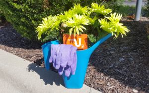 20160516_095354 copy