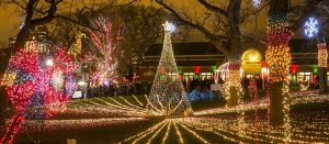 12/20/15 8:43:30 PM -- Chicago, IL, USA Lincoln Park Zoo Lights © Todd Rosenberg Photography 2015