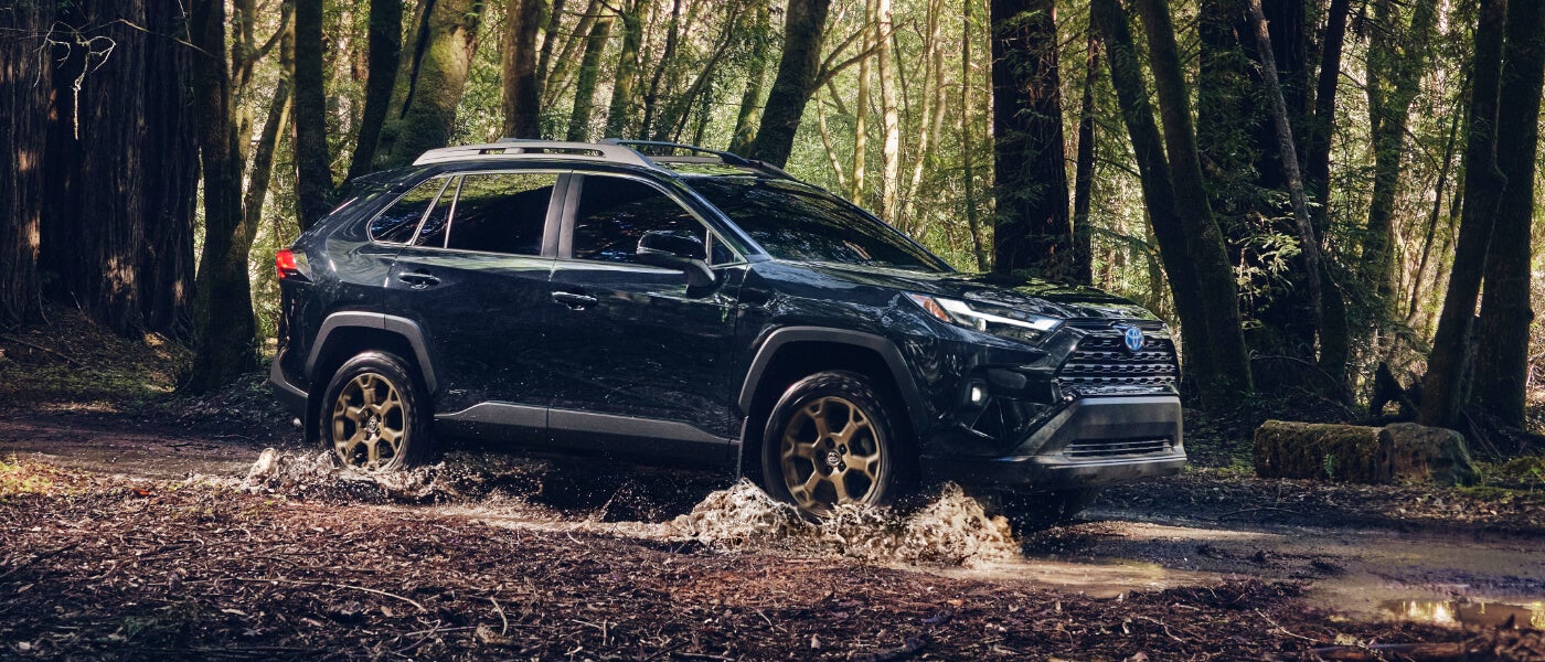 2024 Toyota RAV4 exterior deep in forest